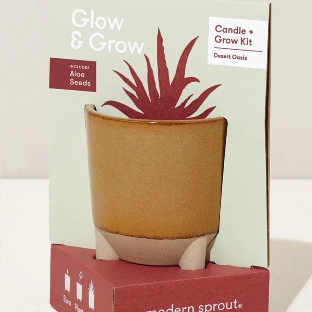 Modern Sprout Glow & Grow Kit - Desert Oasis